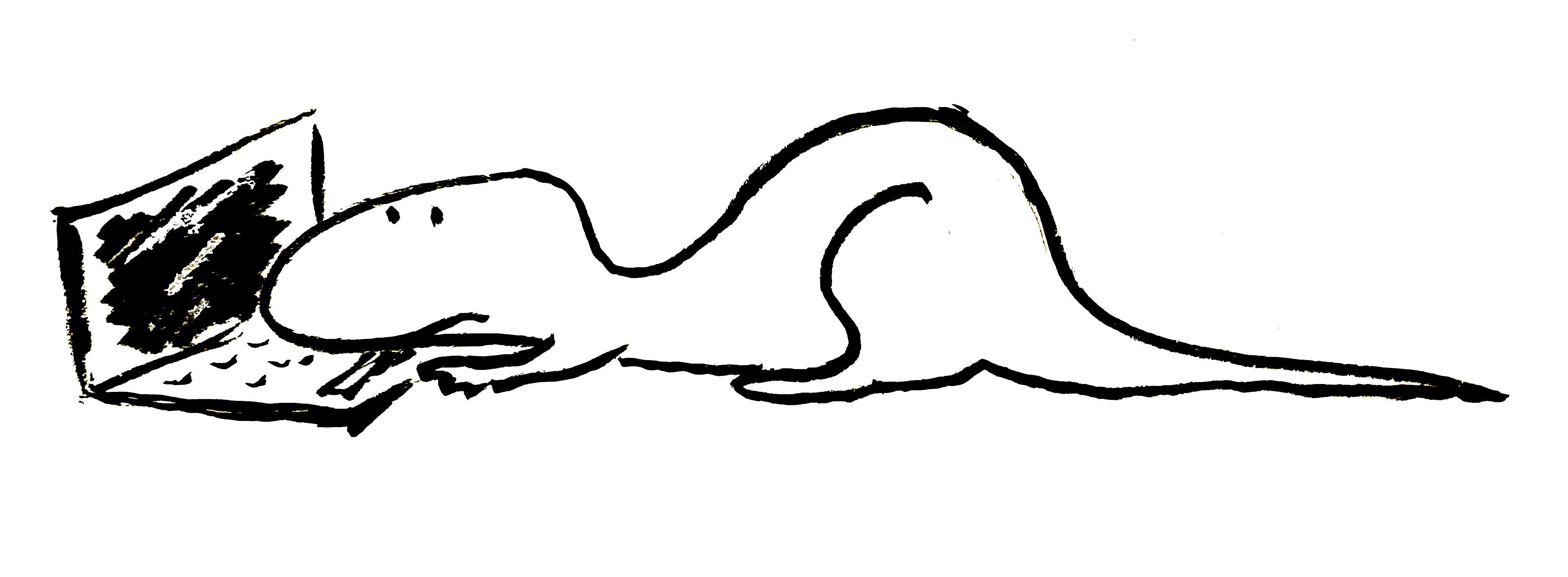 dinasour on computer
